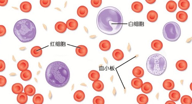 血小板高怎么才能降下來(lái)
